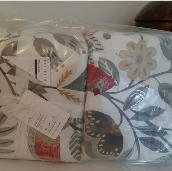 Pottery Barn RARE Jolly Bird Quilted EURO shams (2 shams) - Picture 3 of 8